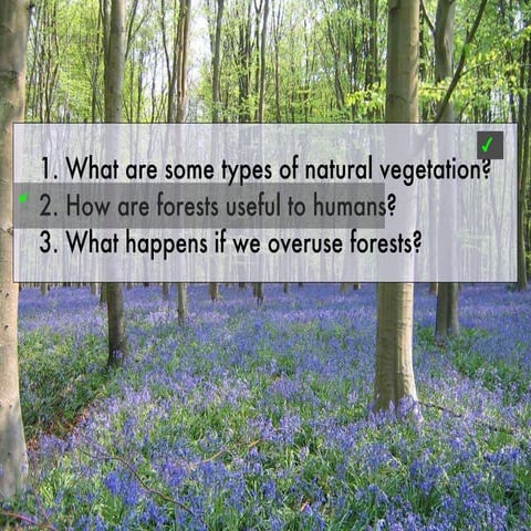 Uses of forests
