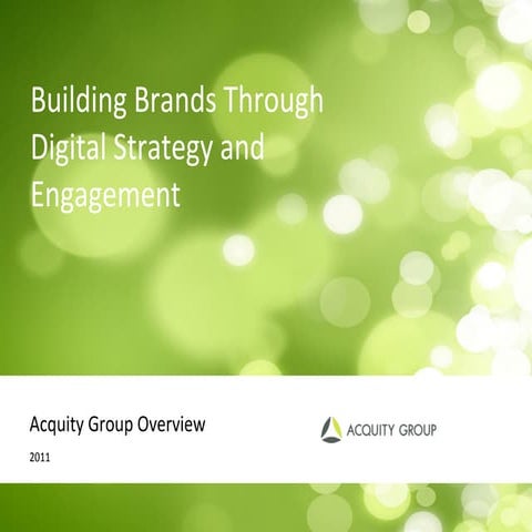 Acquity Group Overview 2011