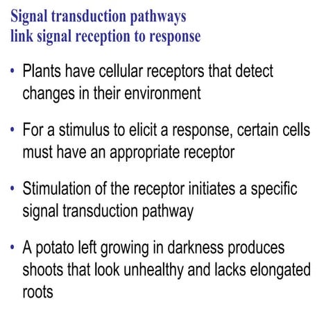 FORM-4-16-PLANT-RESPONSES.pptx