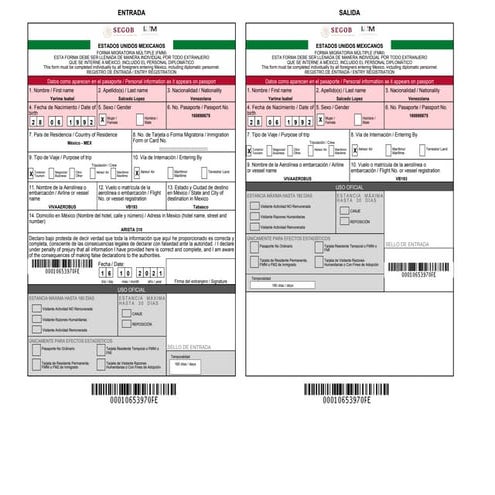 forma-migratoria-00010653970FE.pdf