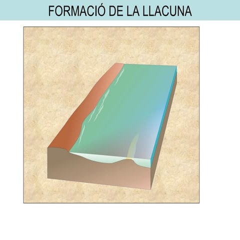 Formació d'una Bassa