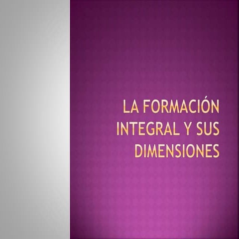 Formación integral y sus dimensiones
