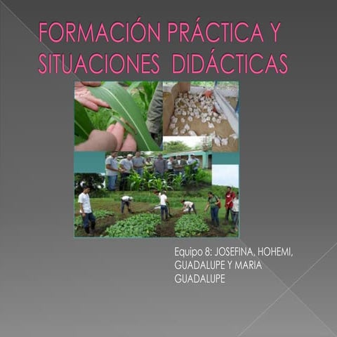 Formación práctica y situaciones  didácticas