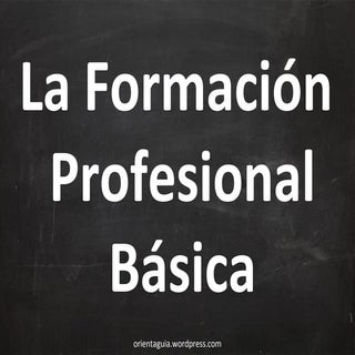 Formación profesional básica