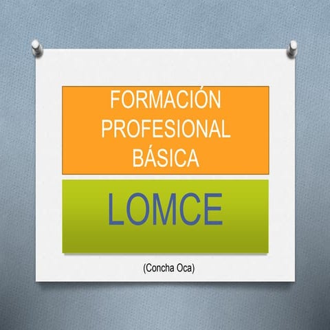 Formación profesional básica
