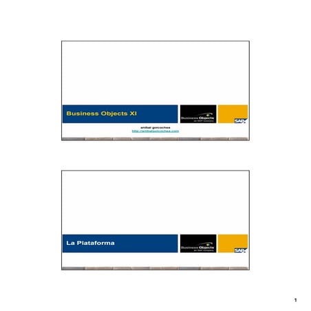 Formacion Business Objects XI