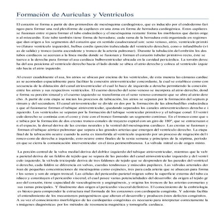 Embriologia - Formacion de Auriculas y Ventriculos