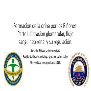 Formacion de la orina por los riñones I, filtracion glomerular, flujo sanguin...