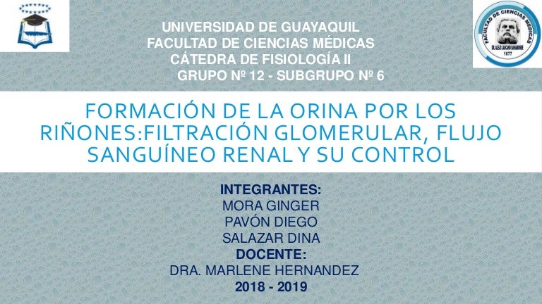 como forzar orinar como forzar orinar