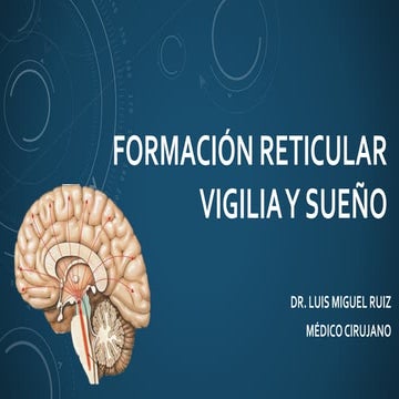 La Formación Reticular | PPTX