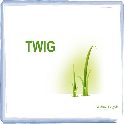 Formacion twig