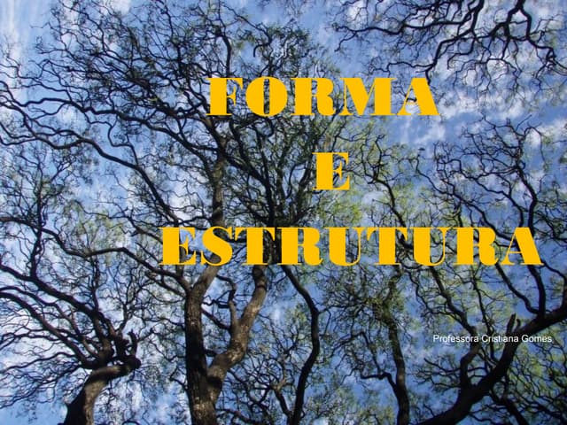 Forma e Estrutura