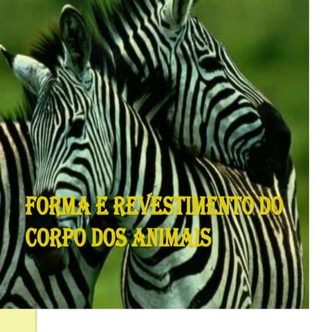 01 formas animais=cm | PDF