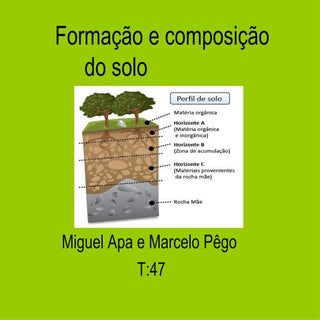 Formação e composição do solo