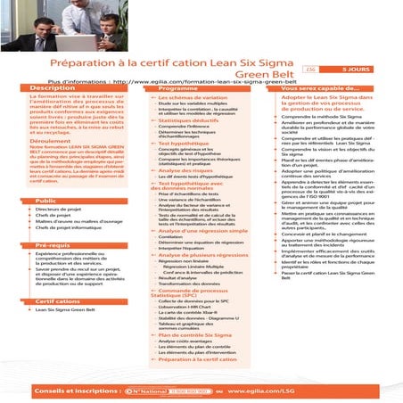 Formation lean six sigma green belt | PDF