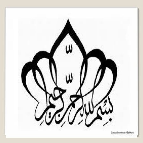 Formation of a Company 