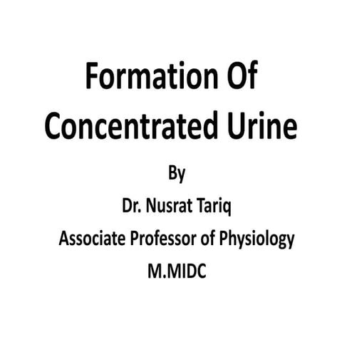 urine concentration and dilution