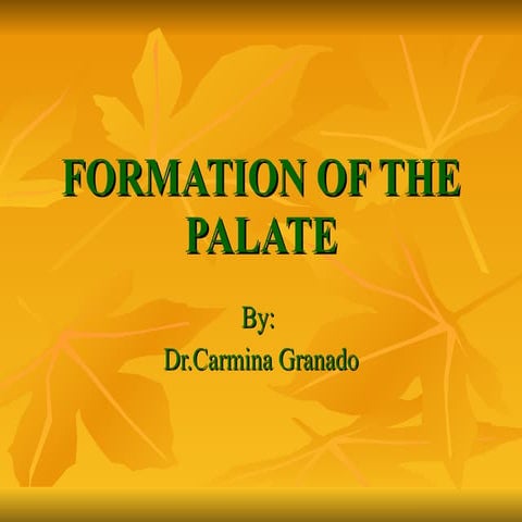 Formation of the palate
