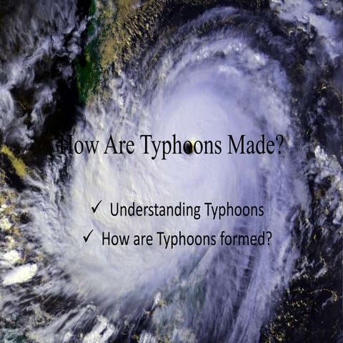 Formation of Typhoon