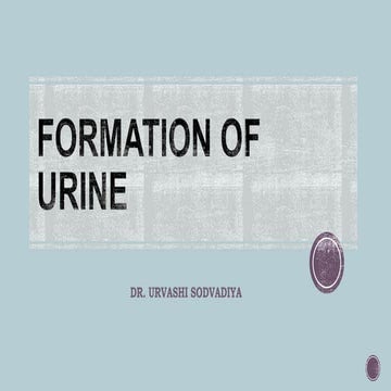 Urine formation 