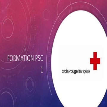 Formation PSC 1 | PPTX