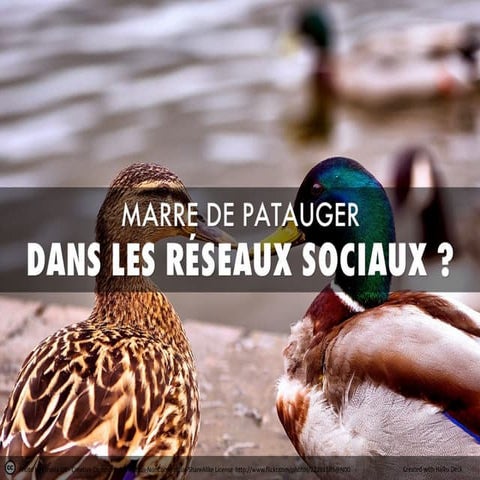 Formations réseaux-sociaux - Facebook - Twitter - E-réputation