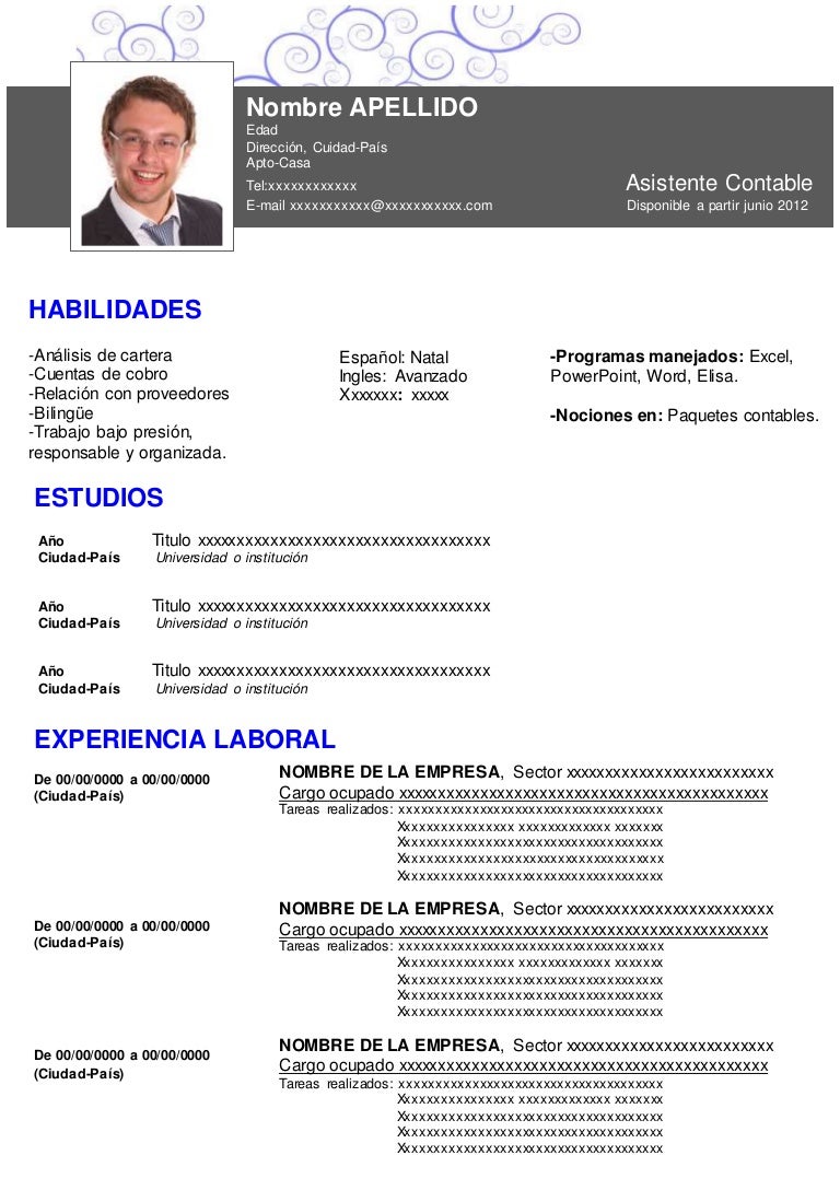 formato de curriculum curriculum formato