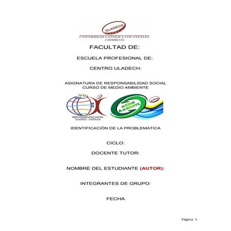 Formato 1 identificacion de la problematica 2014 1