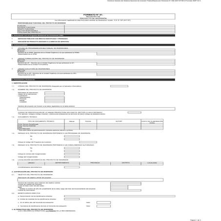 Formato 1 registro de proyecto