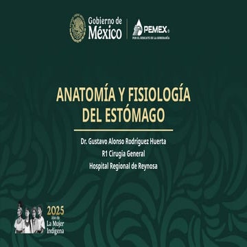 AnatomíayFisiologiadel estómago gástrico.pptx