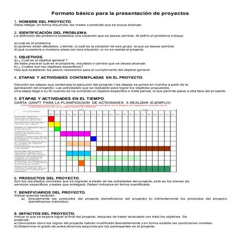 Formato basico de presentacion proyecto
