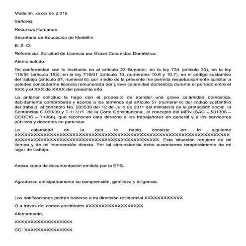 Formato calamidad domestica