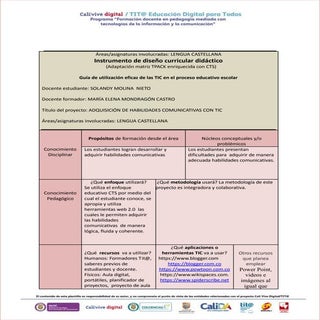 Formato diseño curricular (1)3