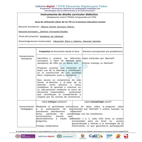 Formato diseño curricular blanca  cecilia