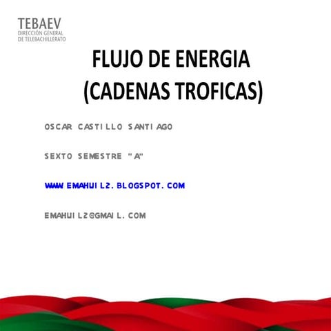 Formato foro  julio 2012 o