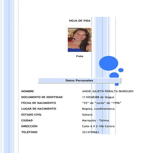 Formato hoja vida_2013