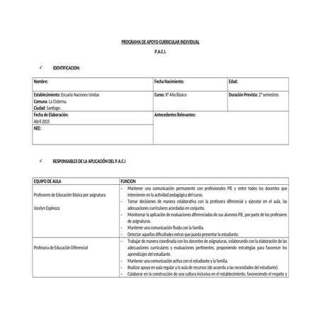 Modelo PACI.docx