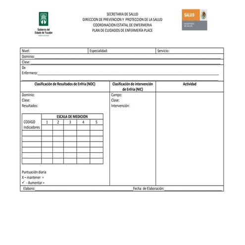 Formato modelo de pae | DOCX
