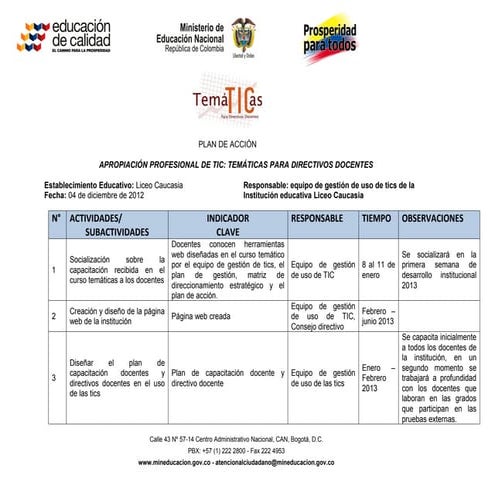   Formato-plan_de_accion liceo caucasia
