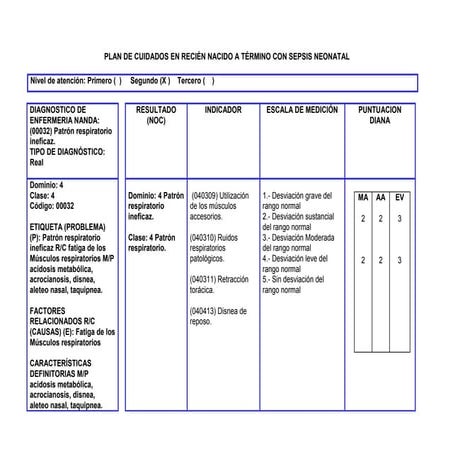 formato plan de cuidados para la salud del | DOCX