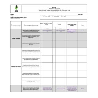 Formato plan de trabajo