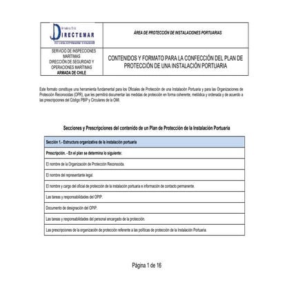 PPIP VERIFICACION.pdf