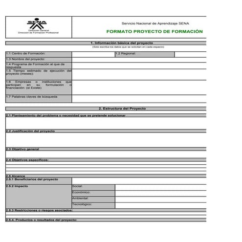 Formatoproyectosdeformacin2009