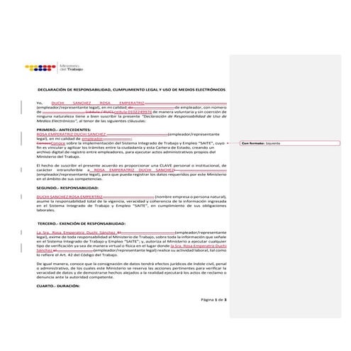 formato RIT.pdf