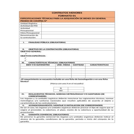 Modelo de tdr | PDF