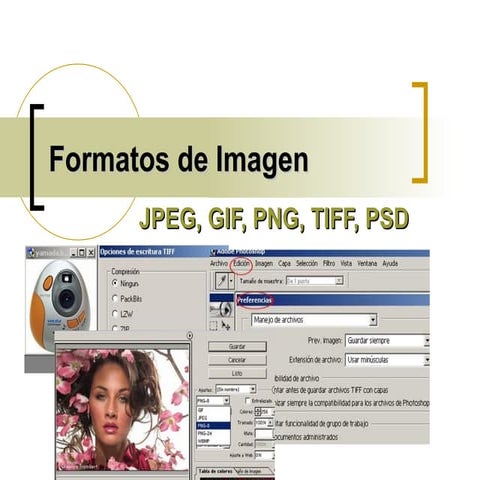 Formatos de imagen 