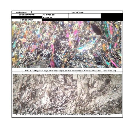 Formato seccion delgada