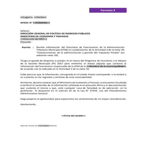 Formatos meta 39 | DOCX | Business Accounting & Finance | Business