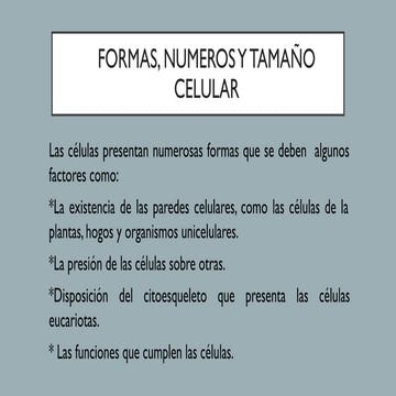 Tamaño y forma de las células | PPTX