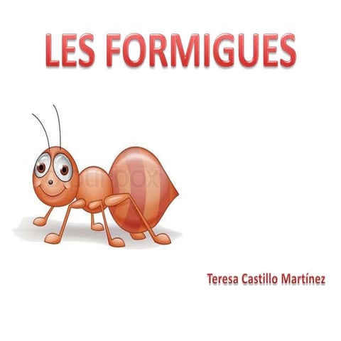 Formigues Teresa Castillo i Maite Martínez